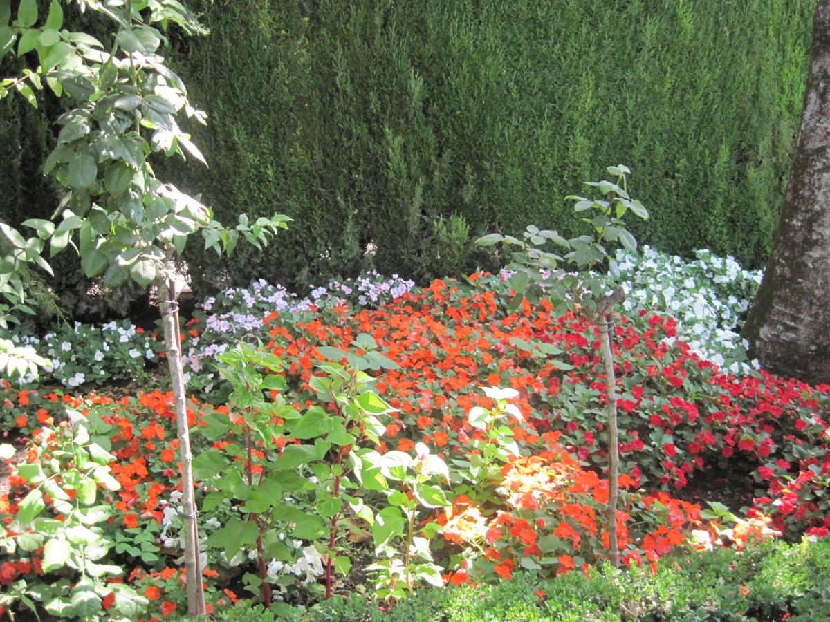 77- Alhambra- fiori e colori